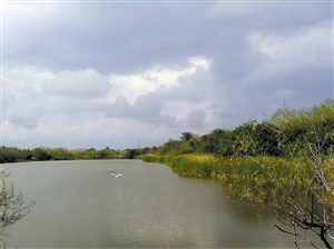 W020141019442018533796.jpg